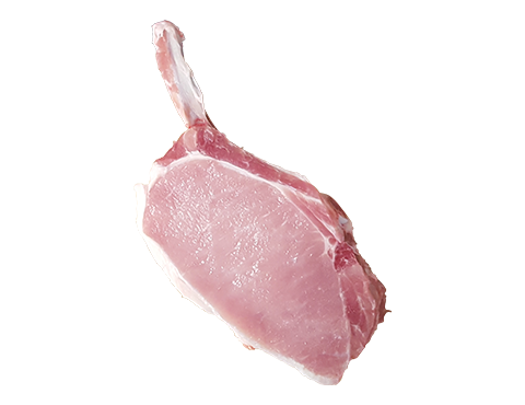 pork cutlet
