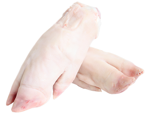 pork trotter
