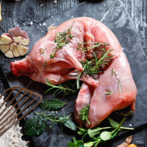 Wild Rabbit