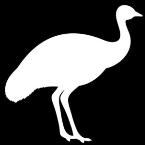 Emu Steak